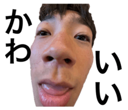 592503722