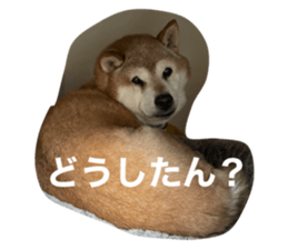 592509340