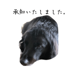 592525866