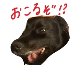 592525867