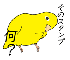 592537155