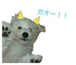592543997