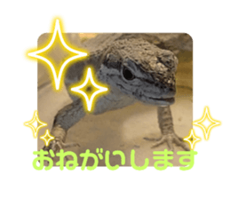 592562008