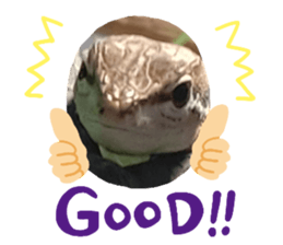592562016