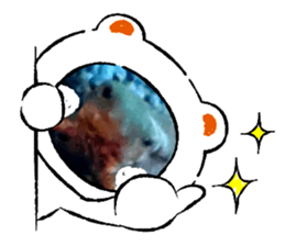 592562019