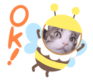 592569884