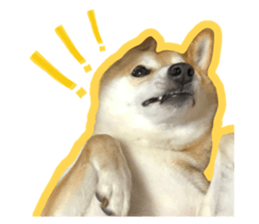 592570304