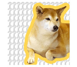 592570305