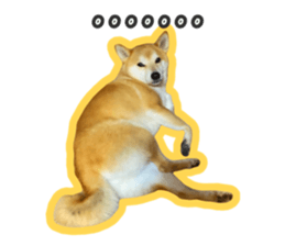 592570319