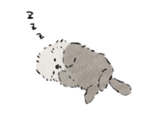 592571423