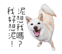 592585645