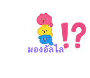 592595823