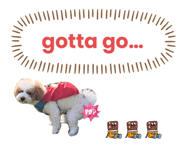 592596143