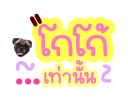 592622248
