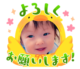 592633530