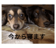 592644615