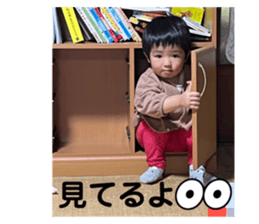 592664036