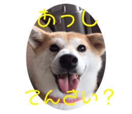 592697732