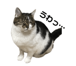 592761802