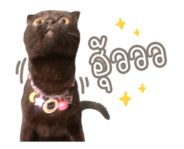 592772150