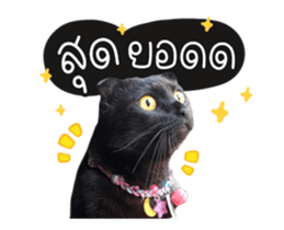 592772159