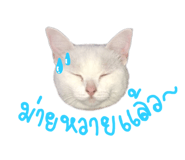592774455