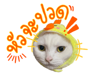 592774464