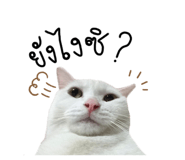 592774469