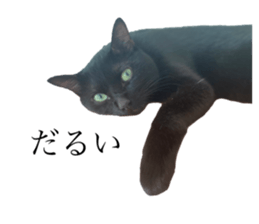 592807264