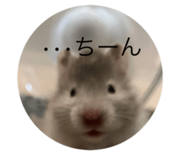 592886612