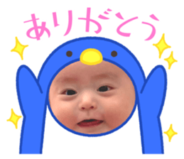 592887517