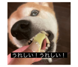 592896327