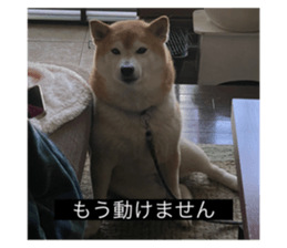 592896332