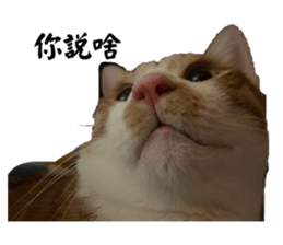 592931637