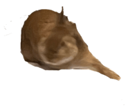 592945174