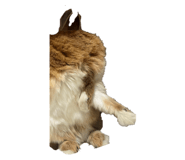 592945180