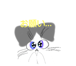 592955754