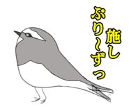 593009329