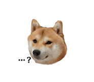 593011792