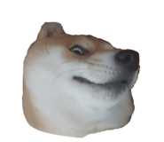 593011805