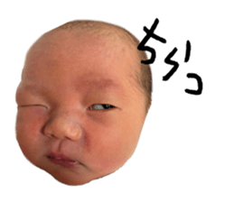 593020138