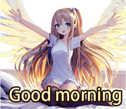 593024527