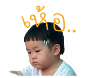 593029006