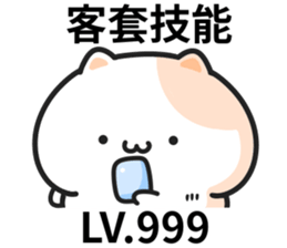 593037010