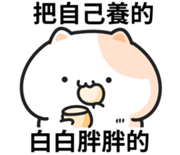 593037026