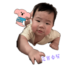 593043952