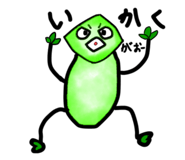 593080277
