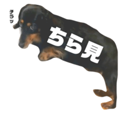 593108945
