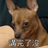 593167729