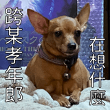 593167737